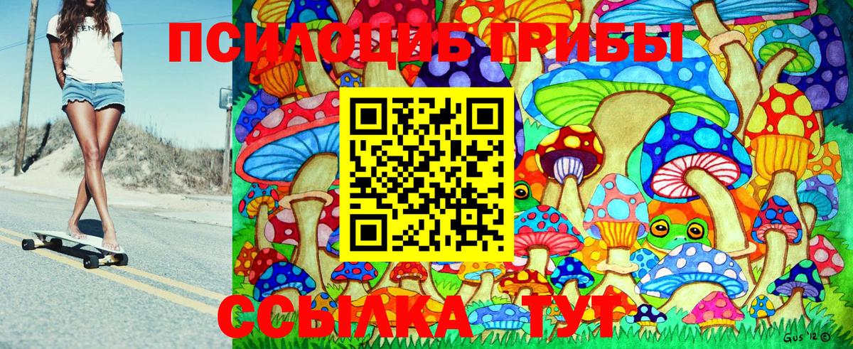 наркошоп  Вход с VPN  Павловский Посад  Псилоцибиновые грибы Magic Shrooms  Псилоцибиновые грибы мухоморы 